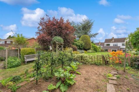 Vegetable Garden