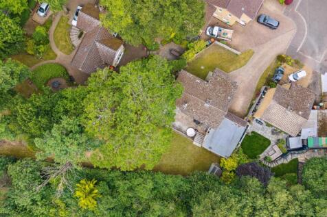 Drone Shot