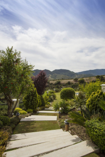 Property Image 40