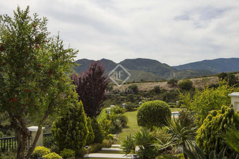 Property Image 42
