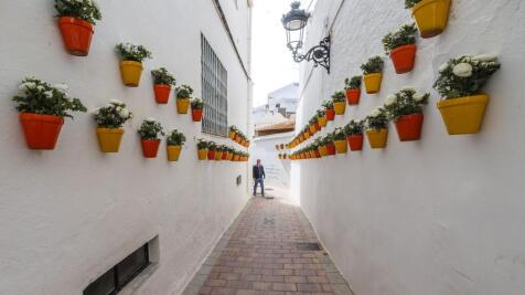 Property Image 23