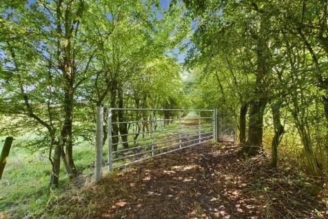 Property Image 35