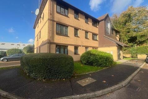 WhatsApp Image 20...