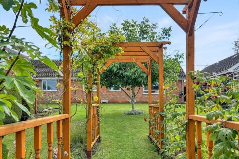 Rear garden 5