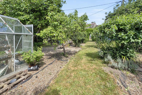 Orchard