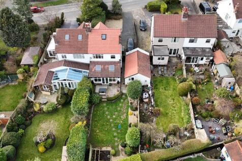 DJI_20250320150435_0550_D.JPG