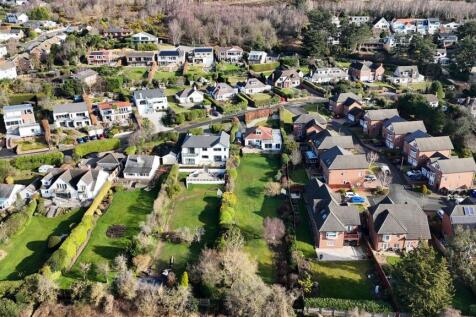 DJI_20250225102020_0249_D.JPG