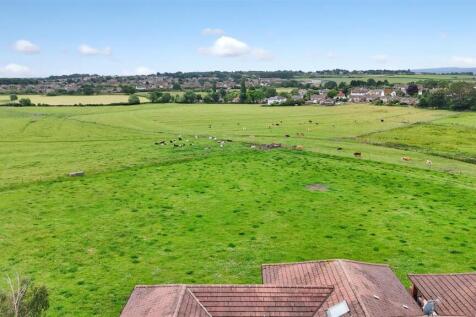DJI_20250622094232_0870_D.JPG