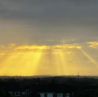 87e1a137-1248-44e2-9a0d-35b66471b9e4 2.JPG