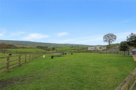 Paddock/Lawn Garden