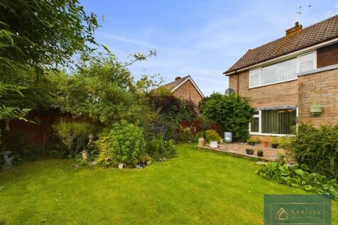 Back Garden