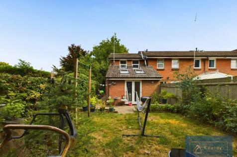 Back Garden