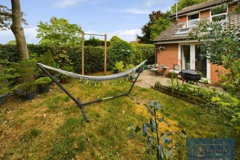 Back Garden