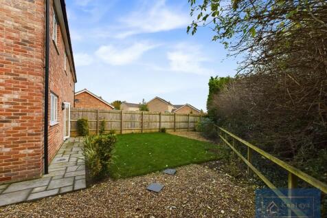 Back Garden