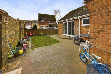 Back garden