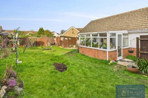Back garden