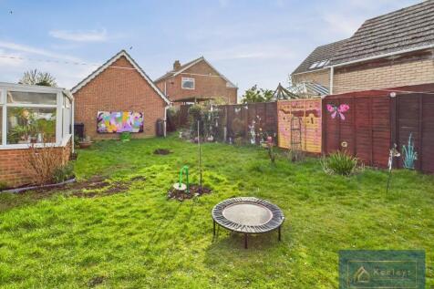 Back garden