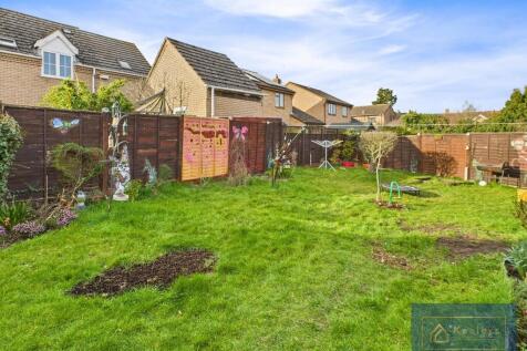 Back garden