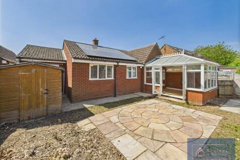 Back garden