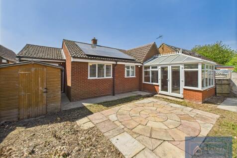 Back garden