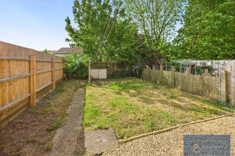 Back garden