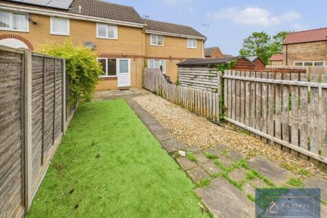 Back garden