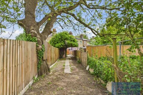 Back garden