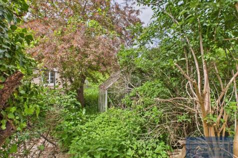 Back garden