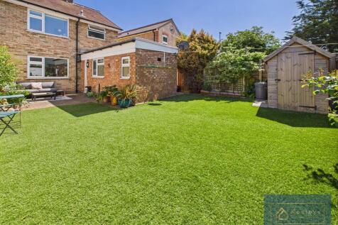 Back garden