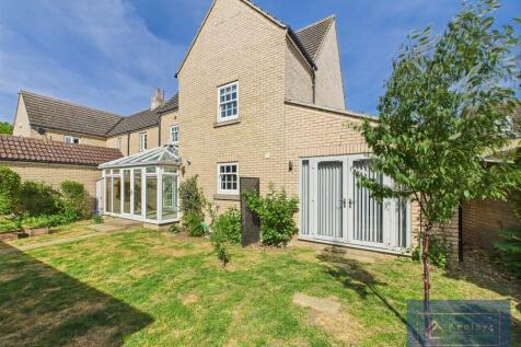 Back garden