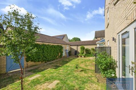 Back garden