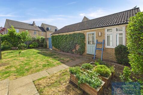 Back garden