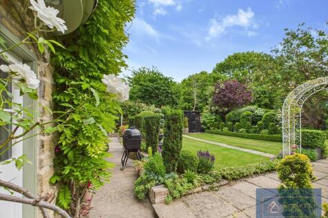 Back garden