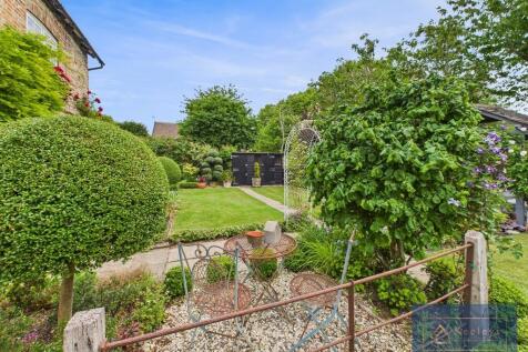 Back garden
