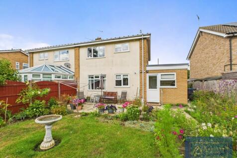 Back garden