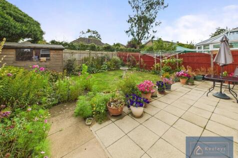 Back garden