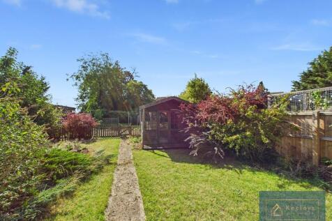 Back garden