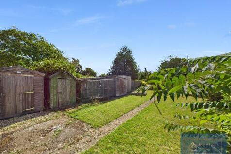 Back garden