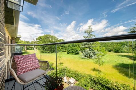 Terrace Views 
