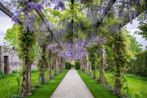 Wisteria Walk 