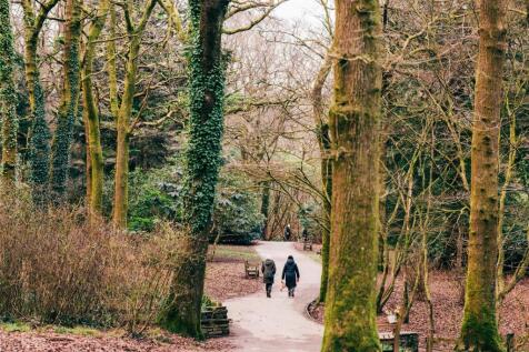 llanishen118.jpg