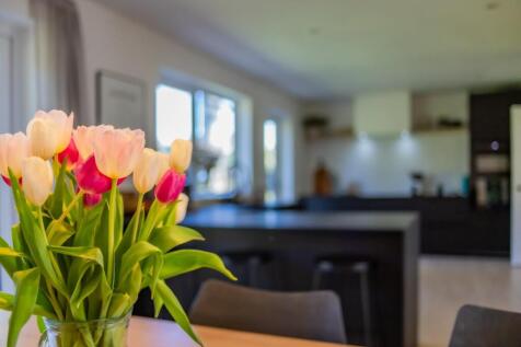 Clos Coed-Y-Dafarn 6-27.jpg