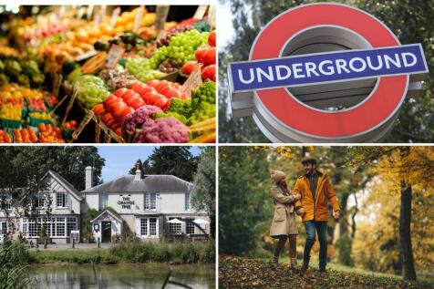 local area collage