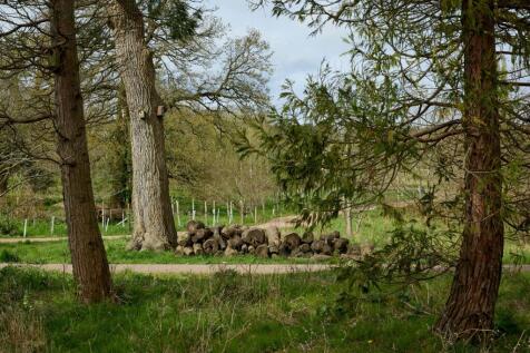 Woodland Gardens