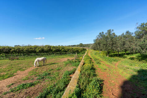 Perez Justa Finca Puntiro 68268 web 025.JPG
