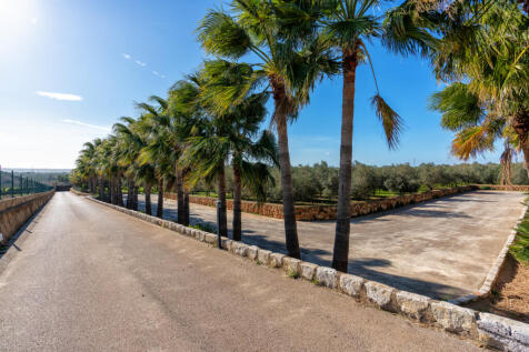 Perez Justa Finca Puntiro 68268 web 027.JPG