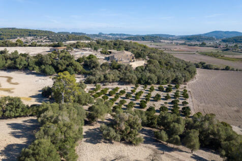 71719 drone web-3.jpg