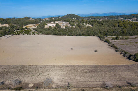 71719 drone web-2.jpg