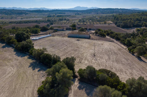 71719 drone web-6.jpg