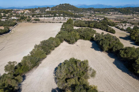 71719 drone web-8.jpg